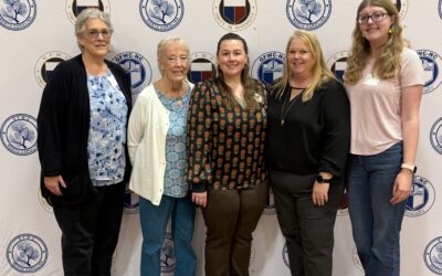 State Arts Festival 2026